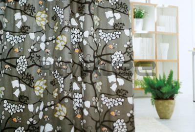 Hình ảnh blacktree 01