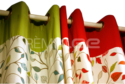 Rem Leaf Spring 1